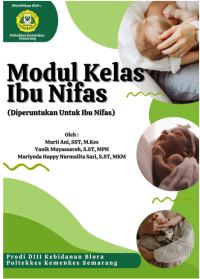 Modul Kelas Ibu Nifas : Diperuntukkan Untuk Ibu Nifas